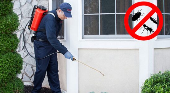 Mazıdağı Tahtakurusu İlaçlama böcek ilaçlama ve haşere kontrolü — ilaclama-tr.com